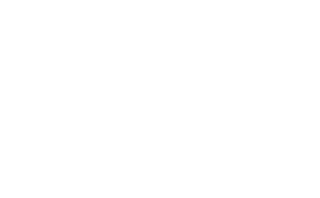 Logo de La Italiana